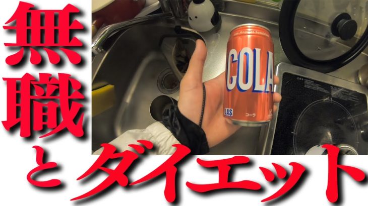 【ダイエット飯】無職のダイエット生活です、主に春雨を食うことにしています。運動はめんどくさいのでしていません。