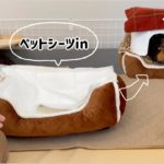 【冬支度】普通のペットベッドをモルモット用にする方法！おしっこ&ウンチ対策