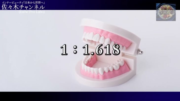 インナービューティ「日本から世界へ 」株式会社プロラボホールディングス代表取締役 兼 CEO 佐々木広行⑧