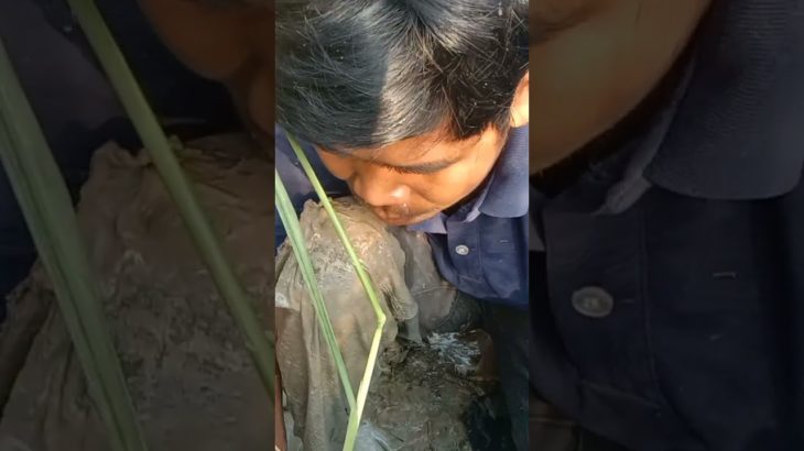 fish @The Fishfam @Fischer’s-フィッシャーズ-