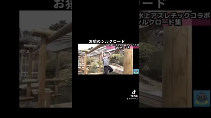 お猿すぎるシルクロード　#フィッシャーズ切り抜き