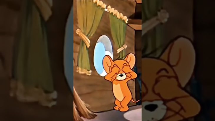 ハクさんとシルクさん🫶推しペアです😖💗#フィッシャーズ #フィッシャーズスタッフ #シルクロード #シルク #ハク #はく #フィッシャーズスタッフ推し