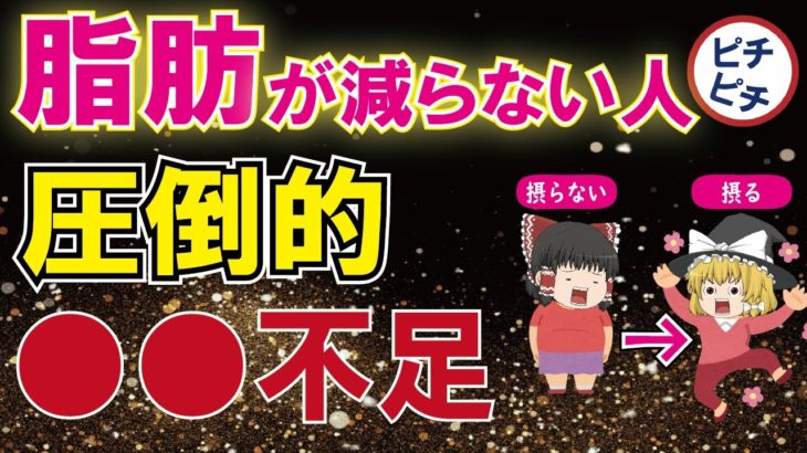 痩せない人は圧倒的○○不足！ダイエットに必要な要素とは！【うわさのゆっくり解説】
