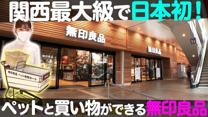 【日本初の無印良品】ペットと買い物ができる無印良品 みのおキューズモール店！【ナジャ・グランディーバのチマタのハテナ】