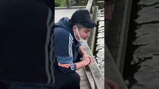 腹ペコの鯉に大量のエサをあげたら大パニックになったwww #Shorts