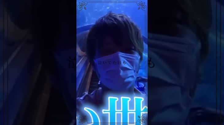 後１ヶ月と少しで推して1年🫶 #フィッシャーズ #ハク #シルク #Fischer’s