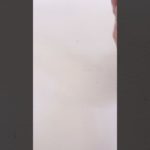 2023キャンメイクラッキーパックの中身は⁈#shorts ＃キャンメイク＃福袋