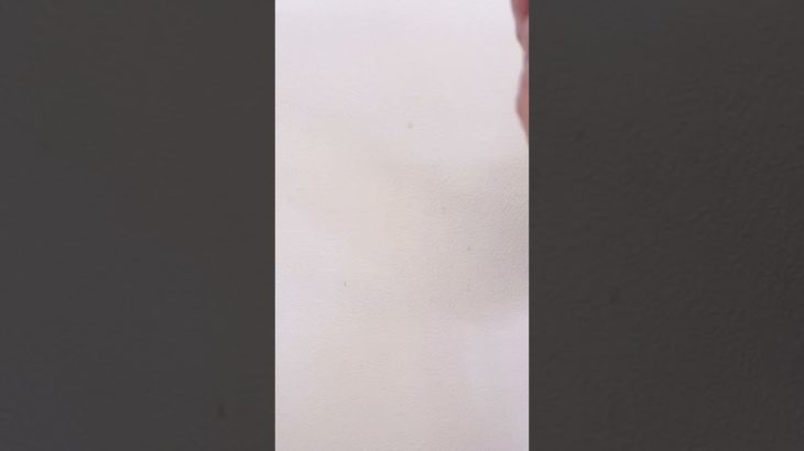 2023キャンメイクラッキーパックの中身は⁈#shorts ＃キャンメイク＃福袋