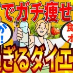 【2ch有益スレ】ガチで痩せるダイエットの極意をワイが伝授するわｗｗｗ【ゆっくり解説】