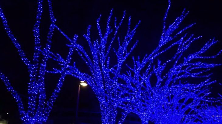 ジャパンイズビューティフォー