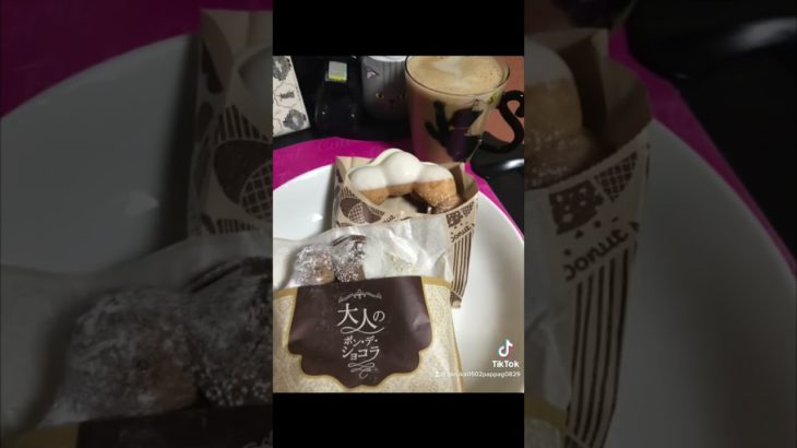 メイク中のママを見る　お前誰？的な目をする猫　#保護猫 #黒猫 #スコティッシュフォールド折れ耳 #黒スコ