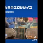 1月1日ダイエット日記