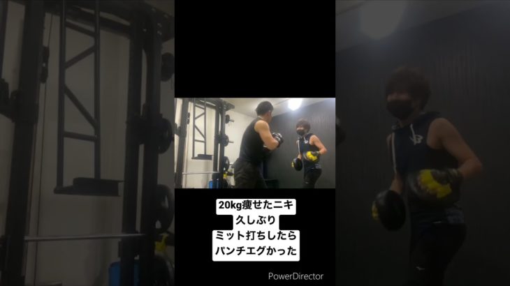20kg痩せたニキのパンチが凄い #ダイエット #ボクササイズ #shorts