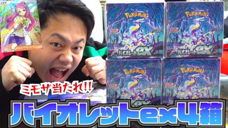 【ポケカ最新弾】バイオレットex４箱開封してミモザを絶対に当ててやる！！！