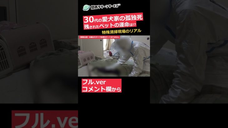 【閲覧注意】死して悲しむ愛犬家の孤独死『ペットに対する義務と責任とは』⑥｜特殊清掃 #shorts
