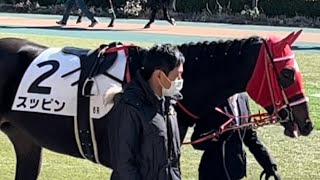 メイクデビューだけどメイク（化粧）デビューはまだ先？メンコでスッピンを隠す乙女スッピンさん