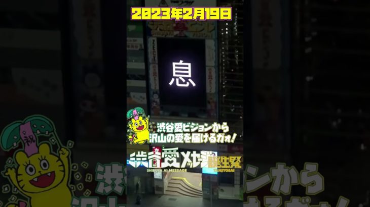 【2023年2月19日】ＳＴＵ４８のクール＆ビューティ♡吉田彩良ちゃん！ＨＢＤ♡息をする心ソロアー写よき【渋谷愛メッセージ】　#Shorts