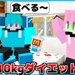 友達がめっちゃ太ってしまった?!😢 3日間で10kgダイエットしてみた結果総集編✨😱✨【マインクラフト・まいくら】