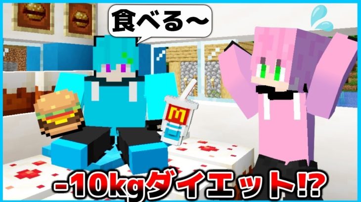 友達がめっちゃ太ってしまった?!😢 3日間で10kgダイエットしてみた結果総集編✨😱✨【マインクラフト・まいくら】