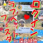 【犬イベント】 ログインラブペットフェスタで視聴者さんから突然のサプライズ🐶🎁in大阪 深北緑地（トイプードルのTorte channel）