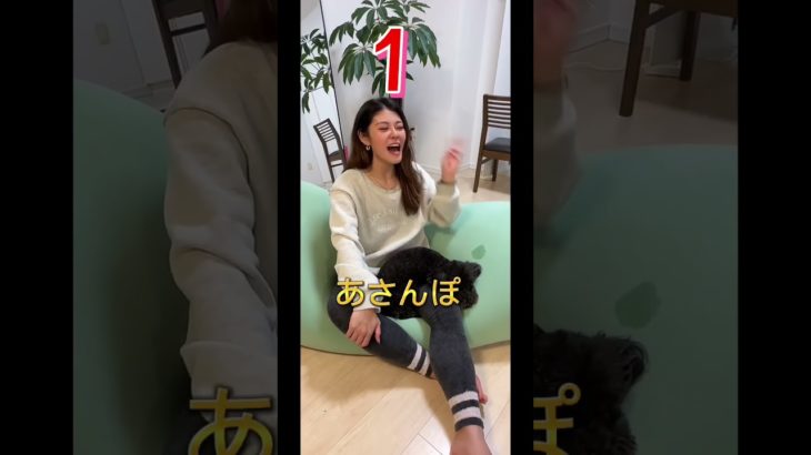 この３つ守れば絶対痩せれる！ #ダイエット #shorts #犬