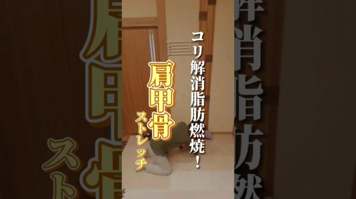 【肩甲骨】コリ解消！脂肪燃焼！#ダイエット#ストレッチ#肩こり#shorts