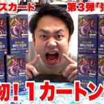 【ワンピースカード】「強大な敵」１カートン開封したら激レアそげキング引けるのか！？