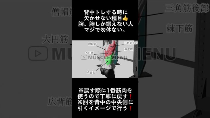 腕、胸しかやってないやつマジで勿体ない。 #ジム #ダイエット #筋トレ