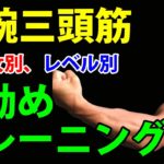 ダイエット以上を求める方へ。上腕三頭筋！男女別、レベル別のお勧めトレーニング！