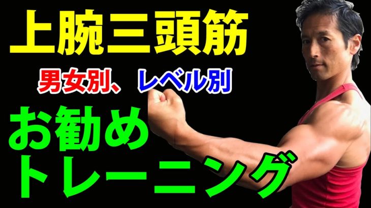 ダイエット以上を求める方へ。上腕三頭筋！男女別、レベル別のお勧めトレーニング！