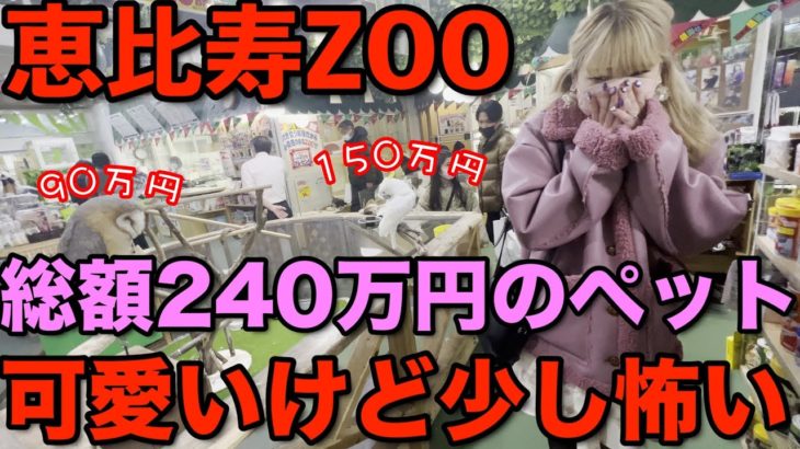 【zoo探検隊】150万円するペットにビビりまくった
