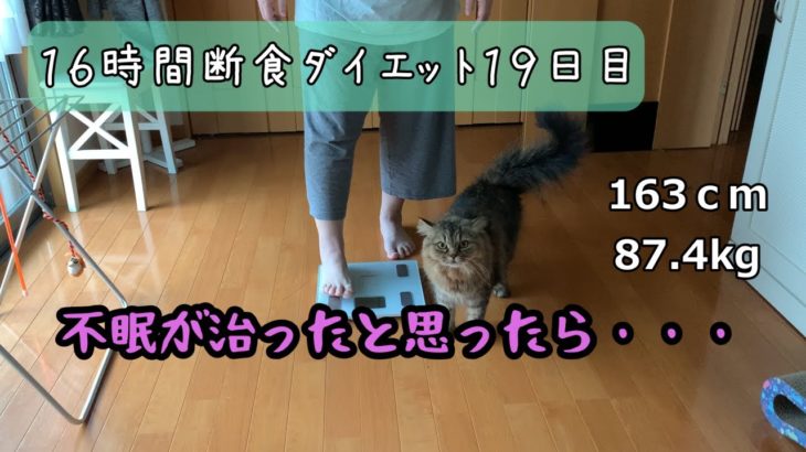 【ダイエット】不眠が治ったと思ったら寝すぎになった、16時間断食ダイエット19日目/猫と体重測定333日目