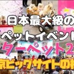 【速報】日本最大級のペットイベント【インターペット2023】【東京ビッグサイト】の様子