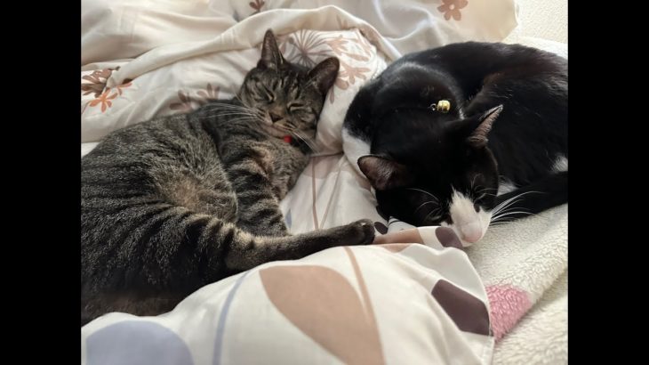 オーバーウォッチ 女受DUO　＃ネイル　＃ペット　＃タピオカ