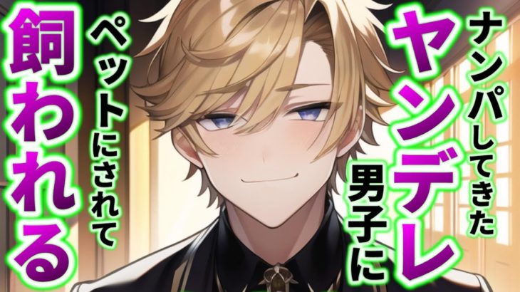 ナンパしてきたヤンデレ男子にペットとして飼われる【女性向けシチュエーションボイス,Japanese ASMR,Yandere,監禁】