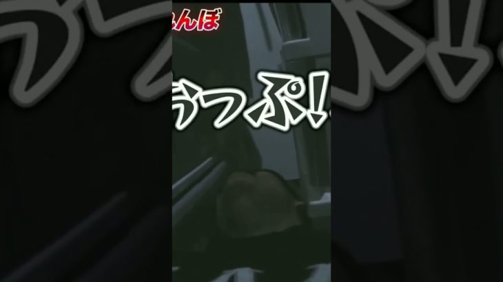 フィッシャーズ音ハメ(Part3) #トゥルティンアンテナ #フィッシャーズ #音ハメ