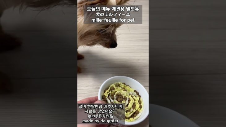 강아지용 밀푀유 애견식사 ペット用ミルフィーユ mille-feuille for pet