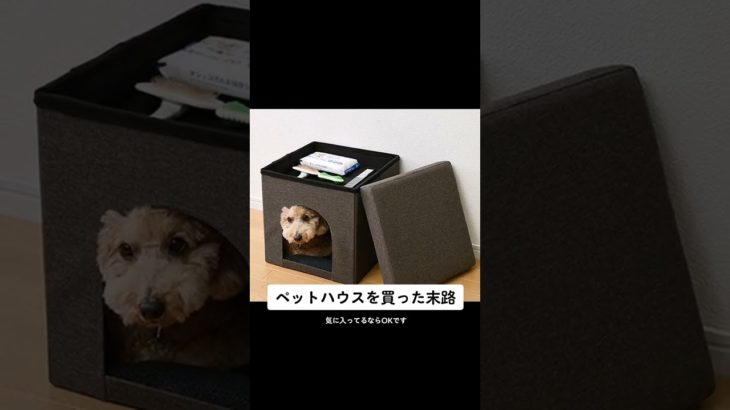 【猫動画】ペットハウスを買った末路…