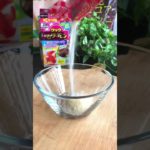 【低糖質】口の中でとろける「チョコテリーヌ改」 #ダイエット