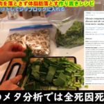【1週間冷凍鍋ダイエット】20kg痩せた筋肉が落ちないで体脂肪落とす作り置きレシピを紹介【超