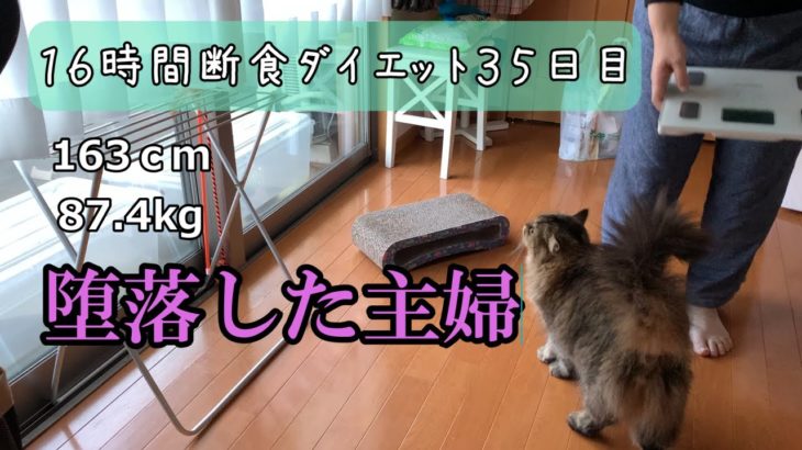 【ダイエット】堕落した生活を送る主婦、16時間断食ダイエット35日目/猫と体重測定349日目