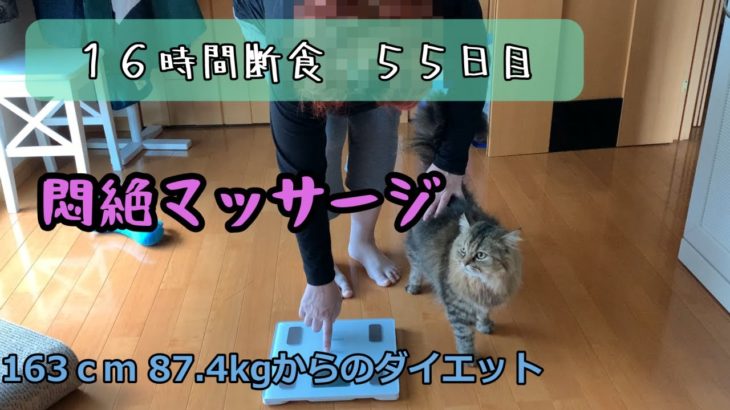 【ダイエット】悶絶マッサージ/16時間断食ダイエット55日目/猫と体重測定366と369日目