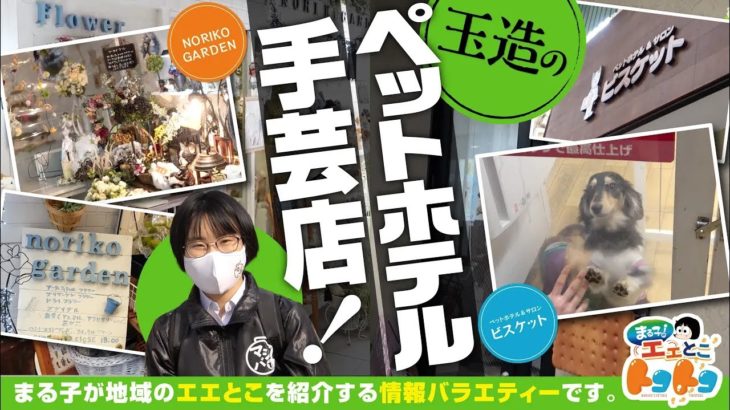 【玉造のペットホテルと手芸店！】まる子のエエとこトコトコ#8
