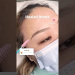 Healed brows #eyebrows #ombrepowderbrows #powderbrows #nanobrows #アートメイク #オンブレパウダー眉