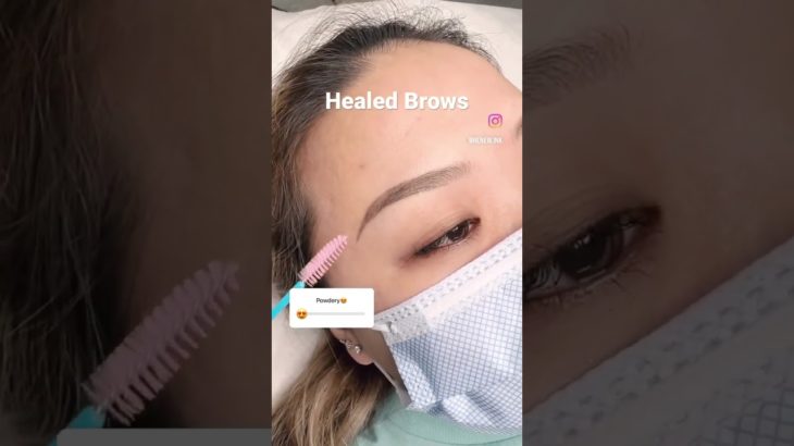 Healed brows #eyebrows #ombrepowderbrows #powderbrows #nanobrows #アートメイク #オンブレパウダー眉