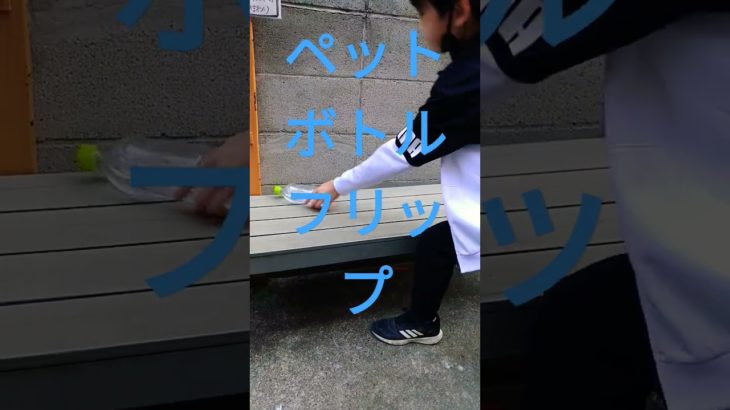 奇跡のペットボトルフリップ