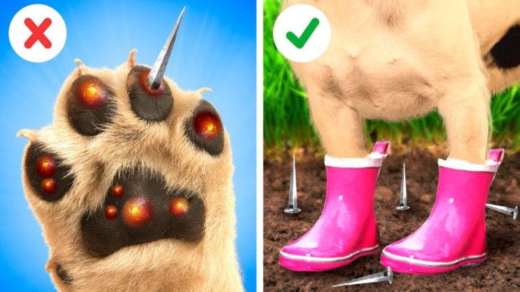 ペットの世話をするには？ 貧乏なペットがお金持ちになっちゃった！ ラ・ラ・ライフのペットの飼い主にぴったりなガジェット