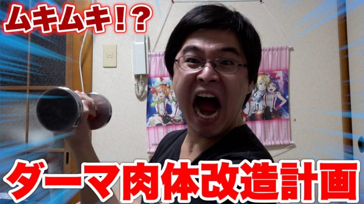 ダーマ、やっと身体鍛え直すってよ。