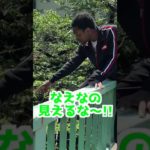 フィッシャーズ越すために橋からダイブしてみたw #shorts