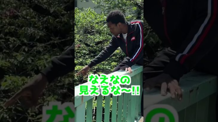 フィッシャーズ越すために橋からダイブしてみたw #shorts